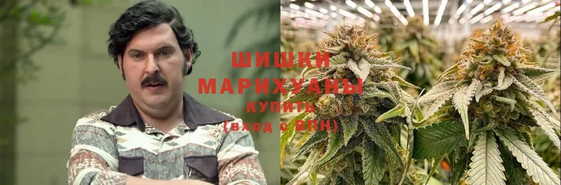 сколько стоит  MEGA сайт  Бошки марихуана White Widow  Зерноград 